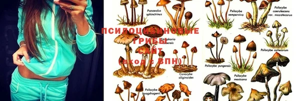 мефедрон мука Белокуриха