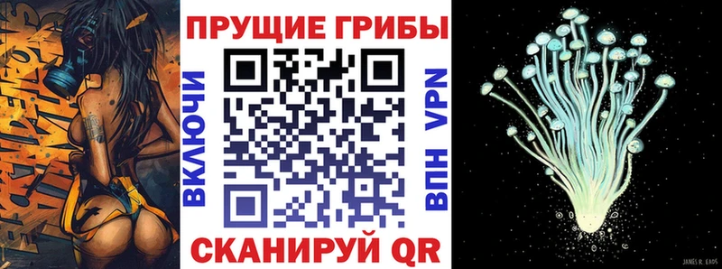 Псилоцибиновые грибы Cubensis  Купить где  Лесосибирск 